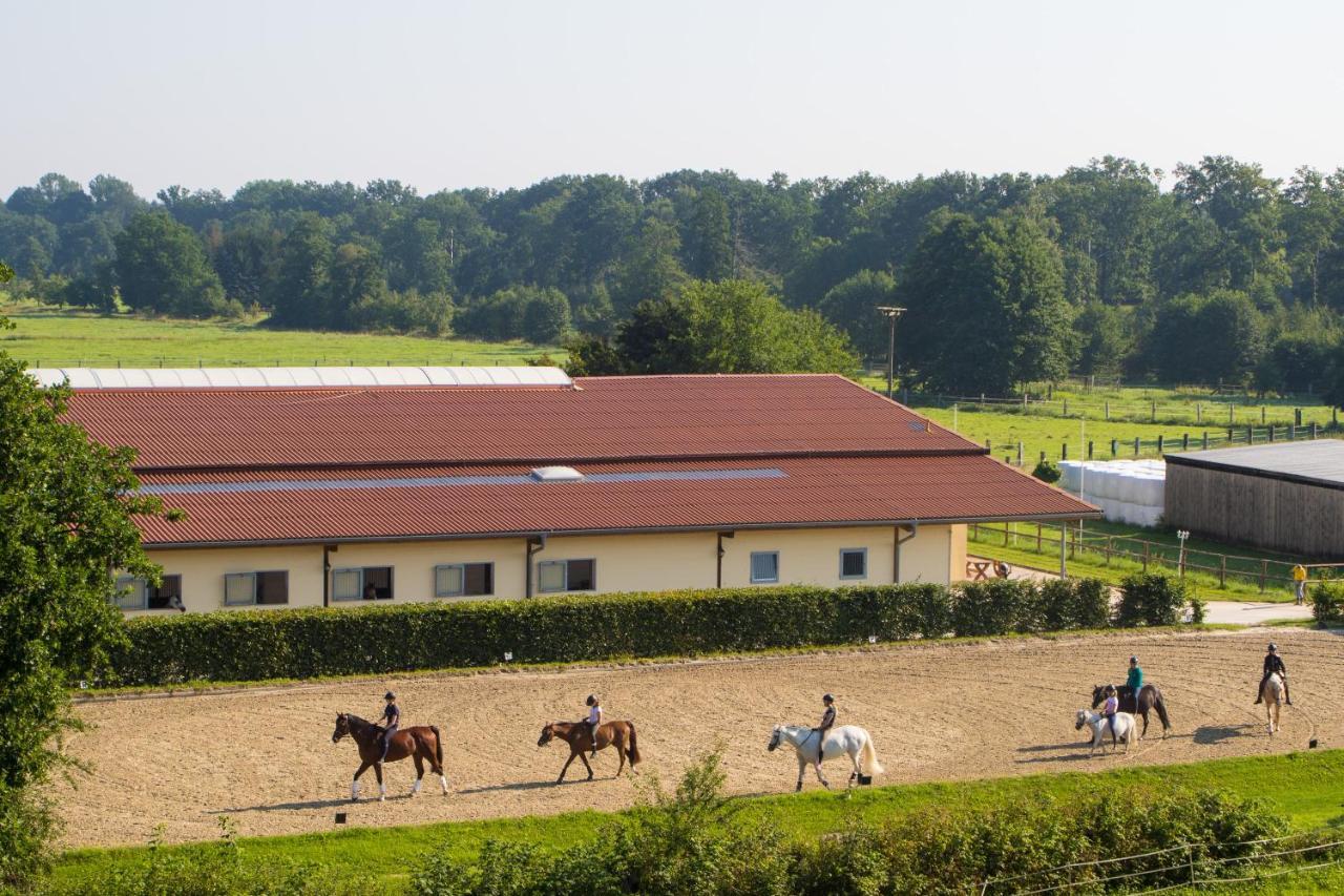Heidegut Eschede Reitsportanlage Und Feriendorf 外观 照片