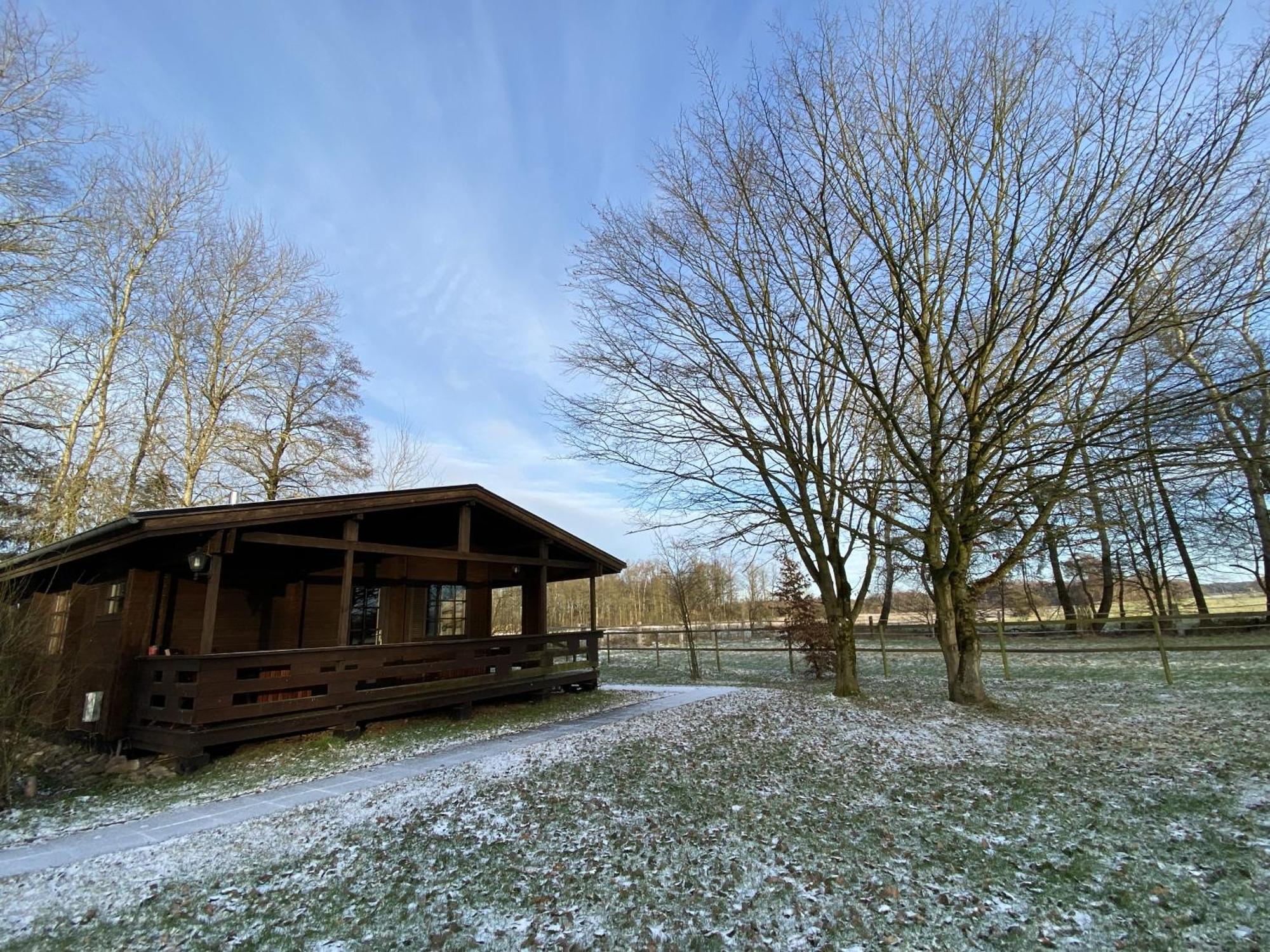 Heidegut Eschede Reitsportanlage Und Feriendorf 客房 照片