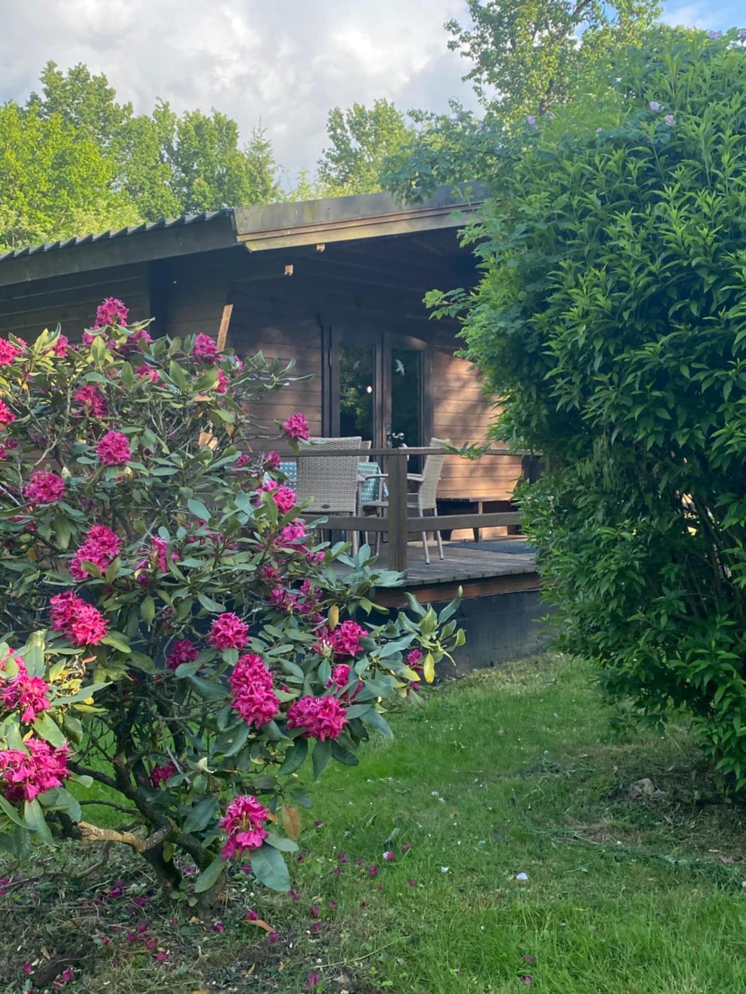 Heidegut Eschede Reitsportanlage Und Feriendorf 外观 照片