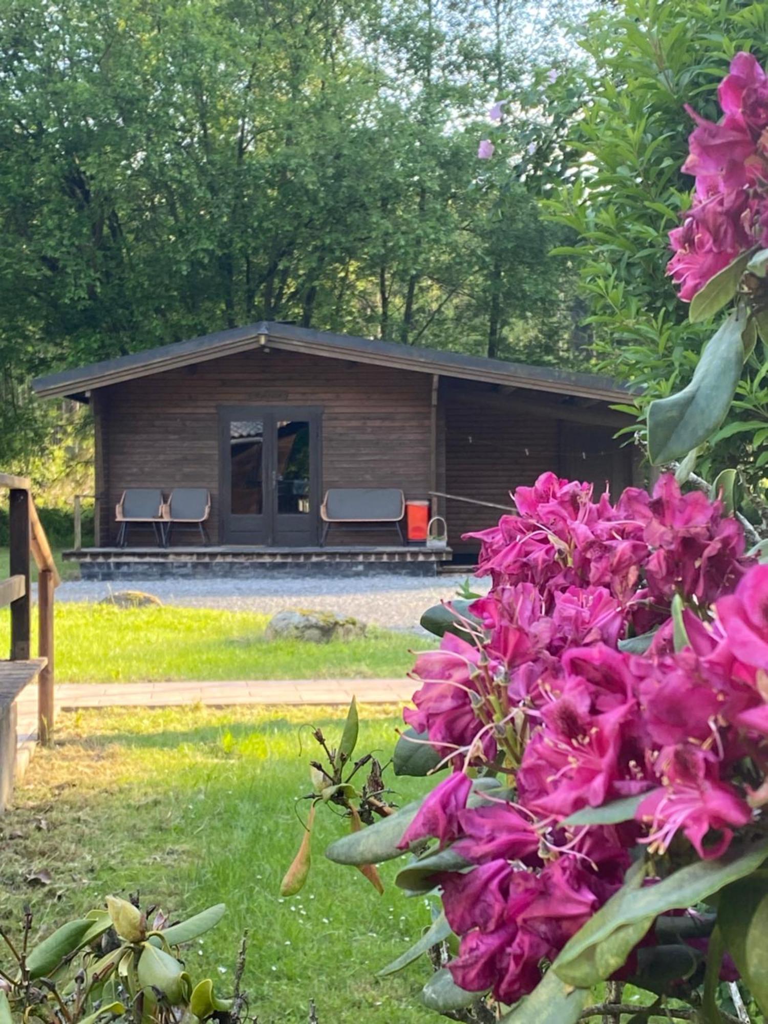 Heidegut Eschede Reitsportanlage Und Feriendorf 外观 照片
