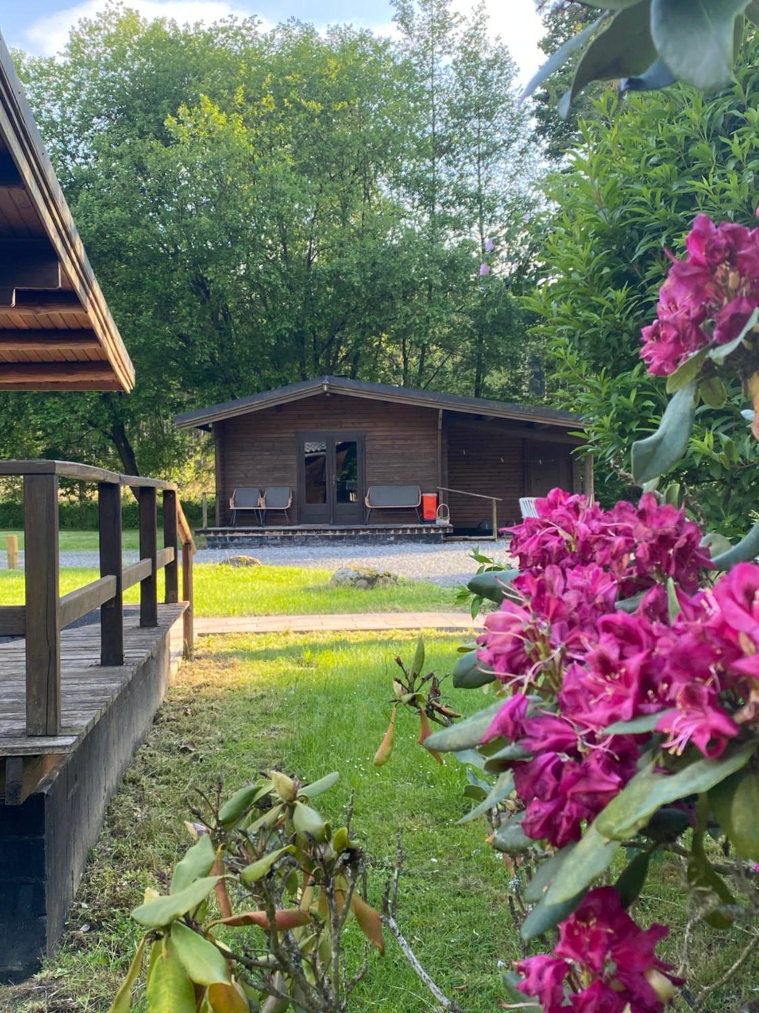 Heidegut Eschede Reitsportanlage Und Feriendorf 外观 照片