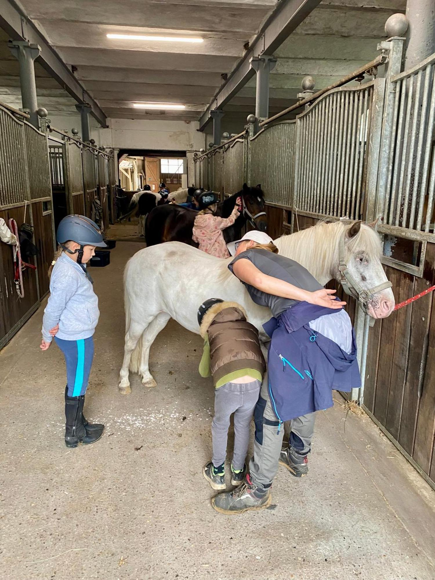 Heidegut Eschede Reitsportanlage Und Feriendorf 外观 照片