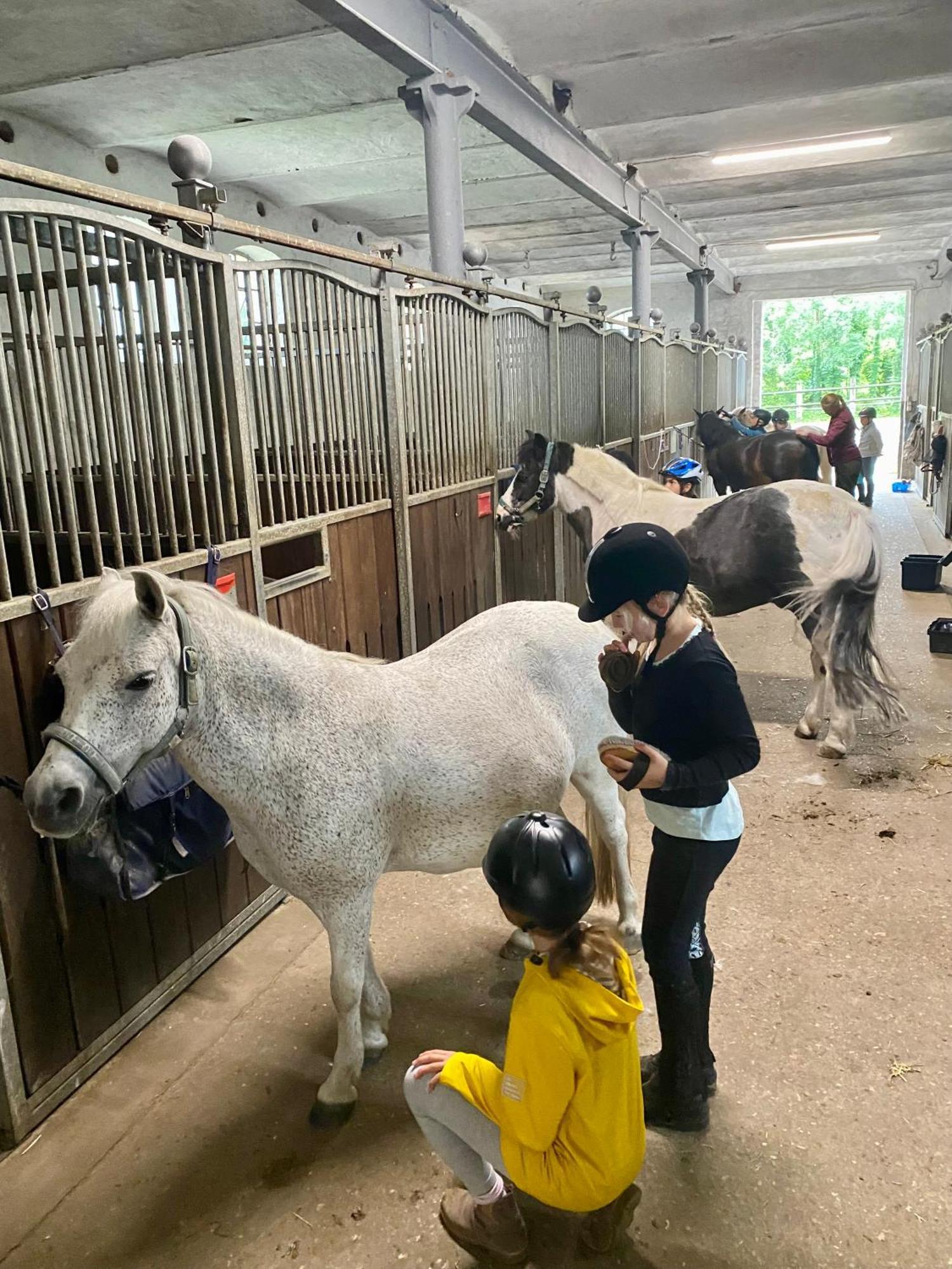 Heidegut Eschede Reitsportanlage Und Feriendorf 外观 照片