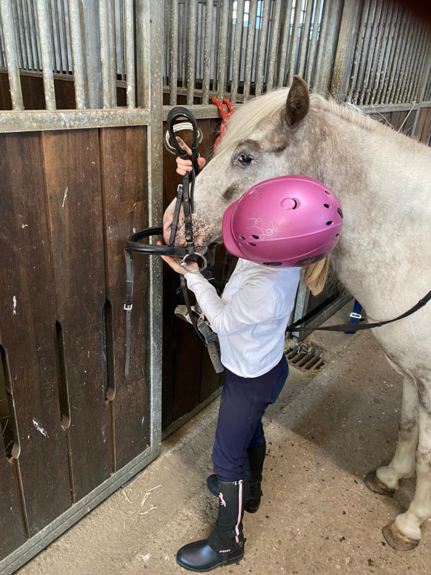 Heidegut Eschede Reitsportanlage Und Feriendorf 外观 照片
