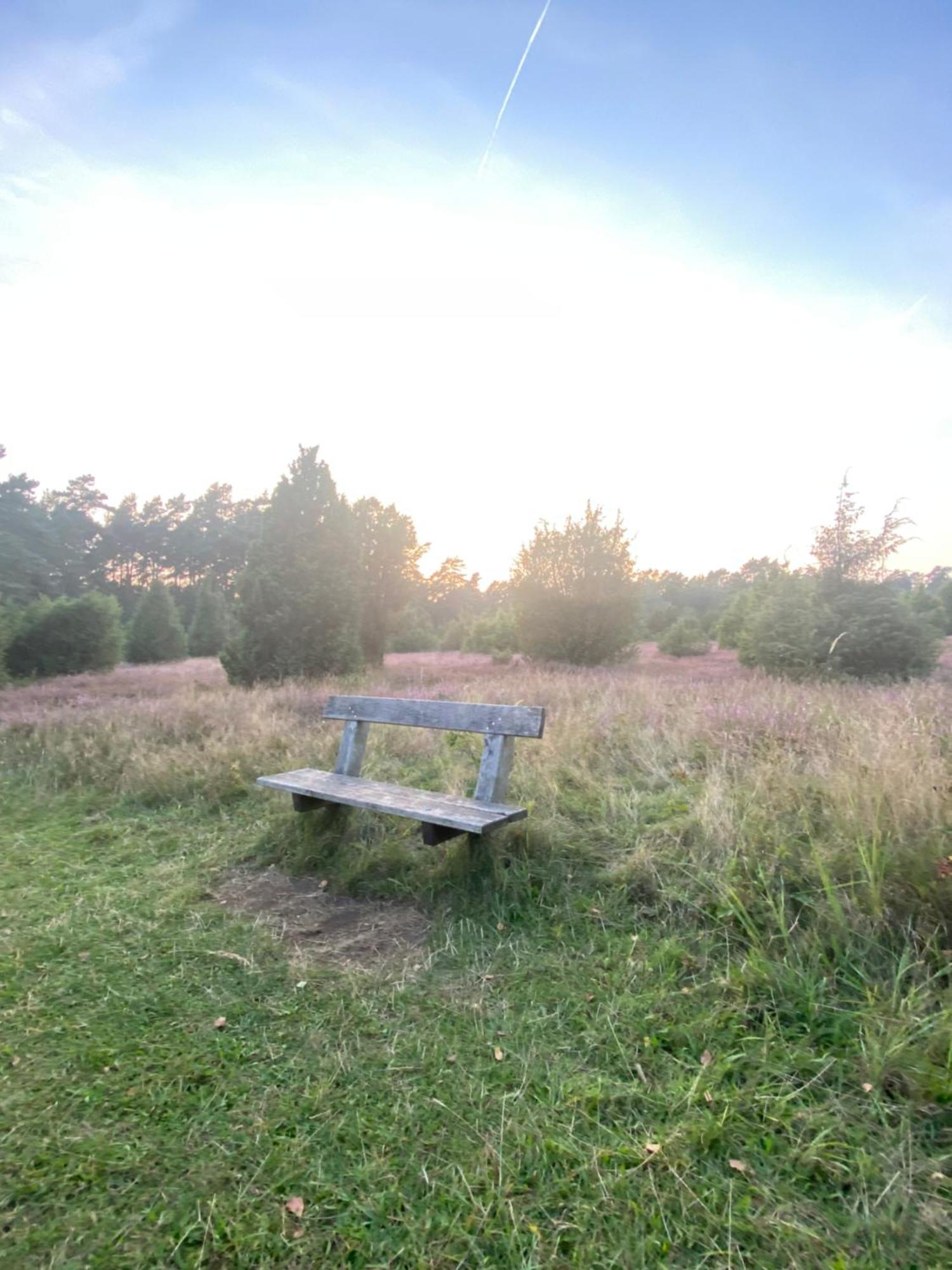 Heidegut Eschede Reitsportanlage Und Feriendorf 外观 照片