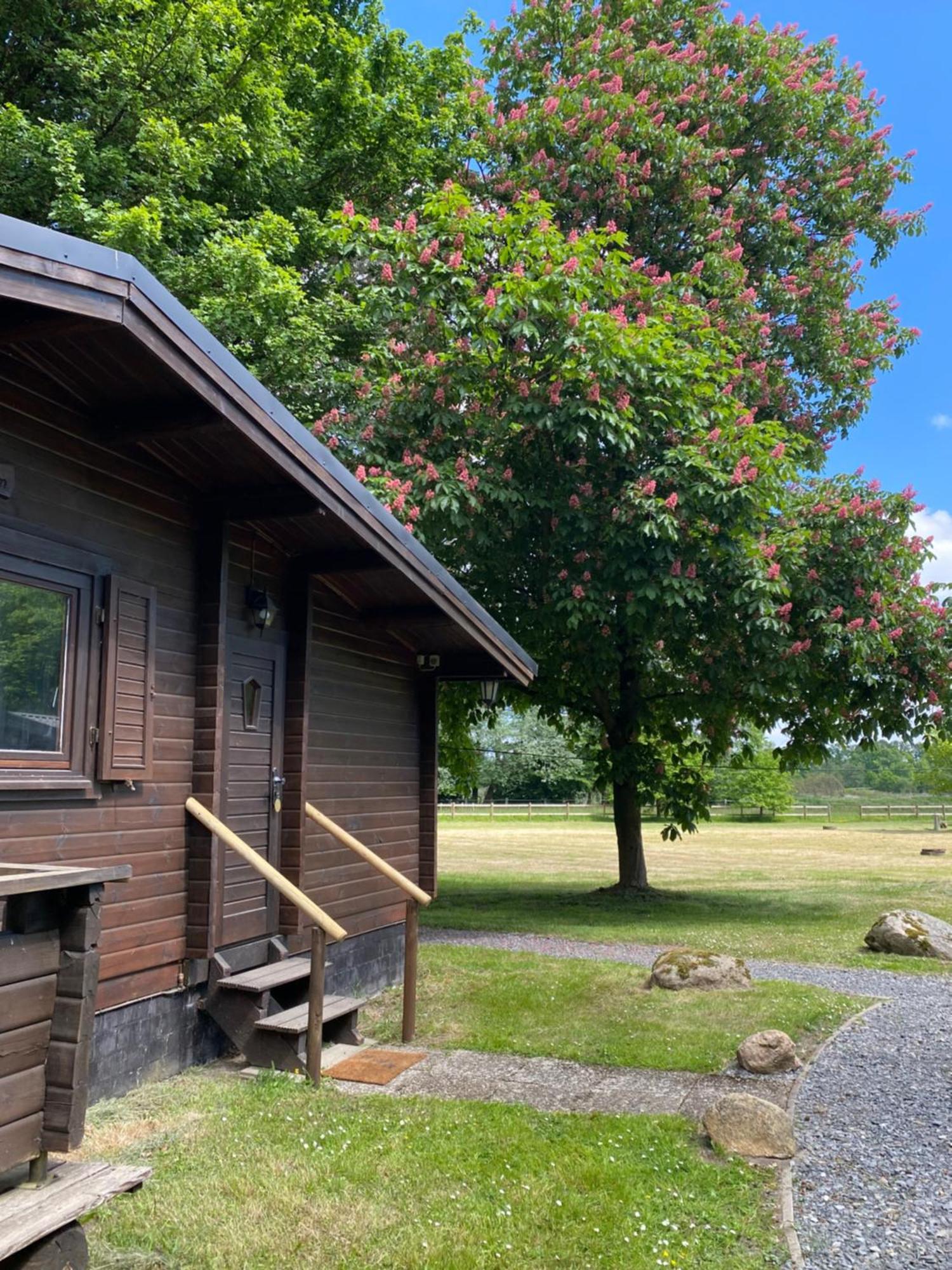 Heidegut Eschede Reitsportanlage Und Feriendorf 外观 照片